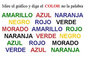 ¡El cerebro es impresionante!